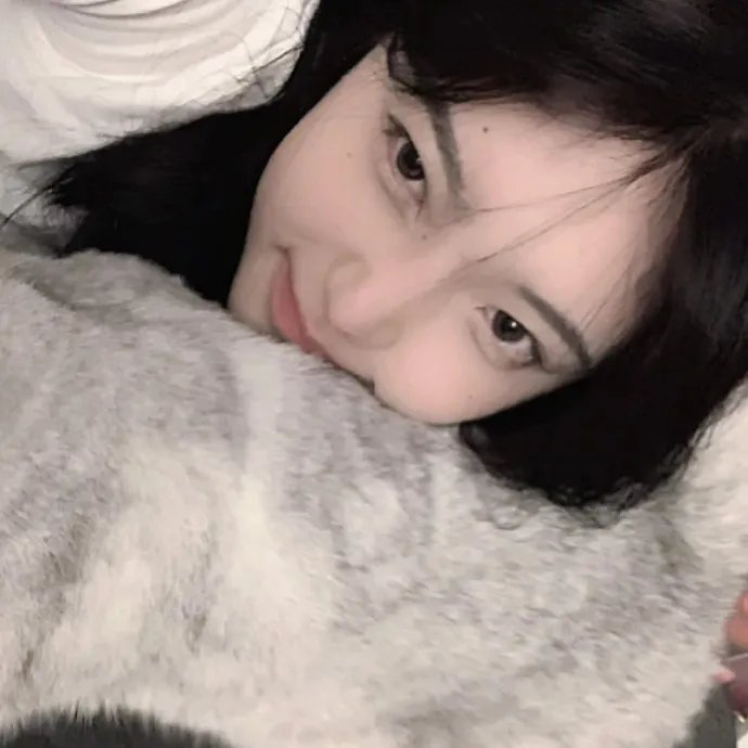 隆美尔宝藏